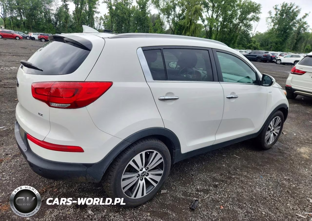 2015 Kia Sportage Ex VIN:KNDPCCAC2F7712526 - 3