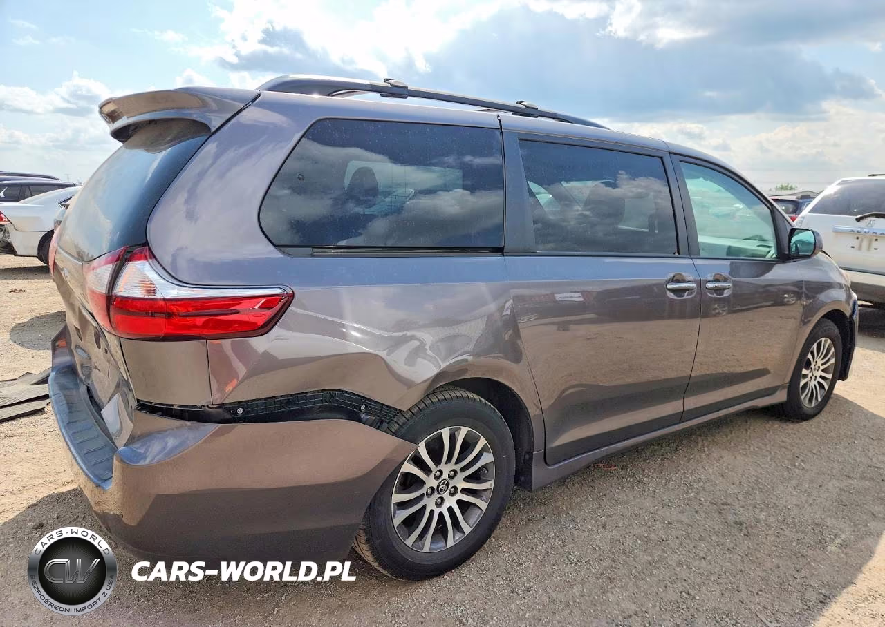 2019 Toyota Sienna Xle 8-Passenger VIN:5TDYZ3DC5KS002194 - 3
