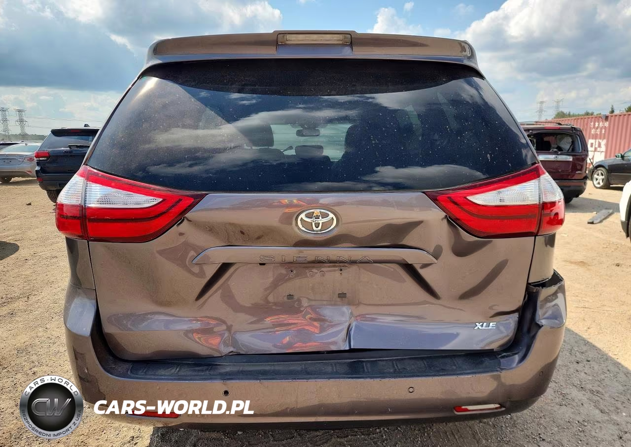 2019 Toyota Sienna Xle 8-Passenger VIN:5TDYZ3DC5KS002194 - 6