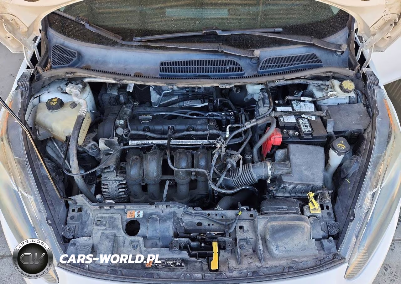 2015 Ford Fiesta Se VIN:3FADP4EJ8FM195914 - 11