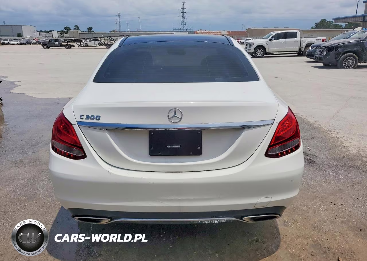 2017 Mercedes-Benz C 300 VIN:55SWF4JB8HU196250 - 6