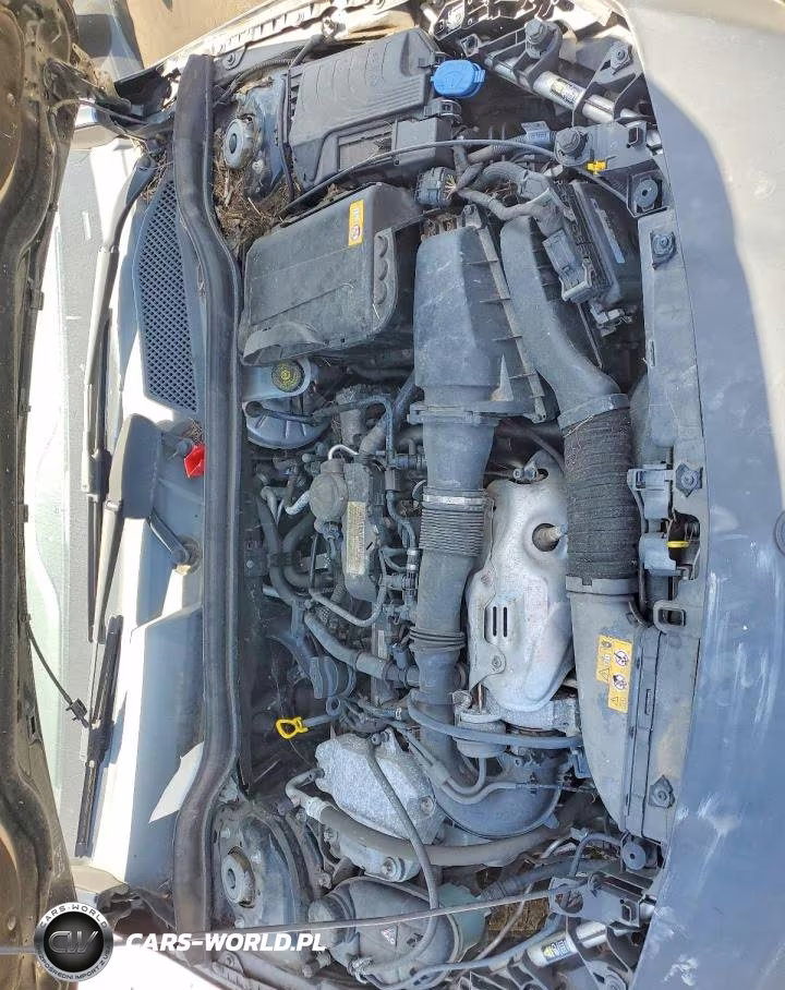 2014 Mercedes-Benz Cla 250 VIN:WDDSJ4EB4EN035860 - 11
