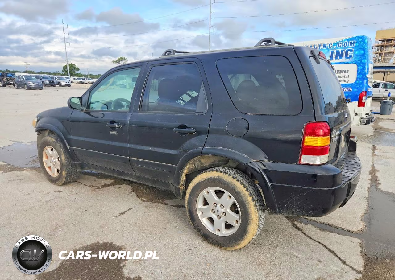 2007 Ford Escape Limited VIN:1FMYU04137KA75313 - 2