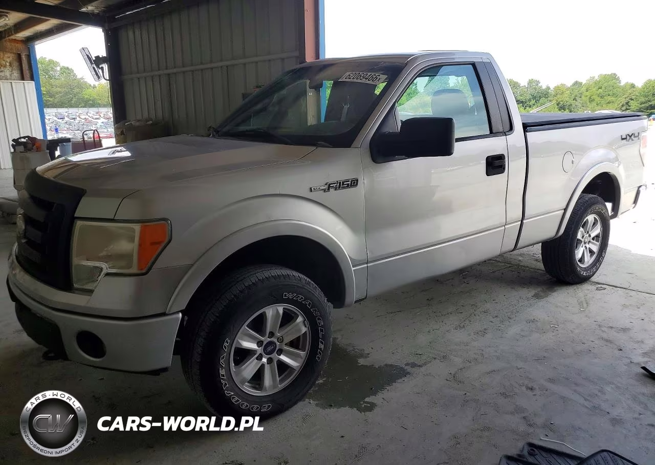 2009 Ford F150