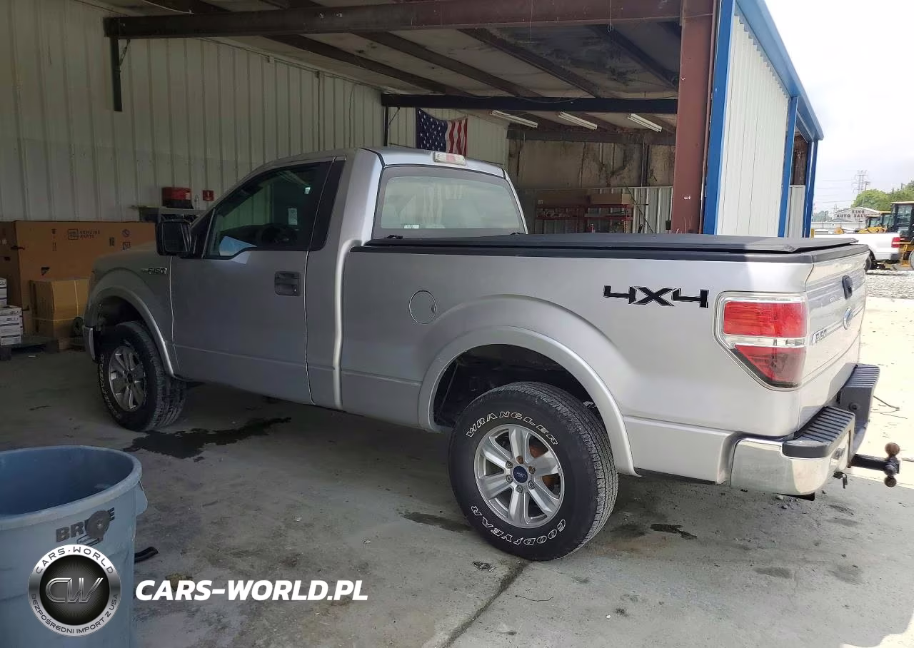 2009 Ford F150 VIN:1FTRF14889KB06029 - 2