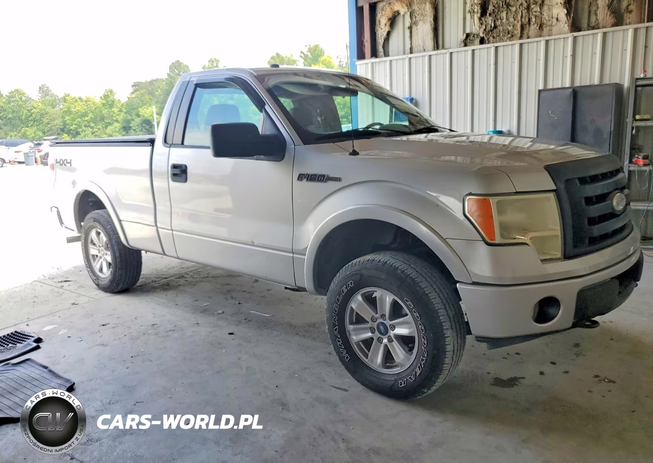 2009 Ford F150 VIN:1FTRF14889KB06029 - 4