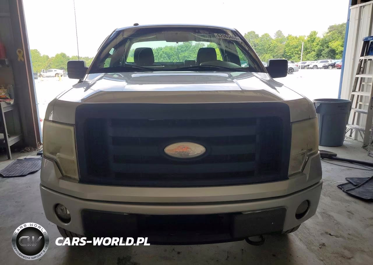 2009 Ford F150 VIN:1FTRF14889KB06029 - 5