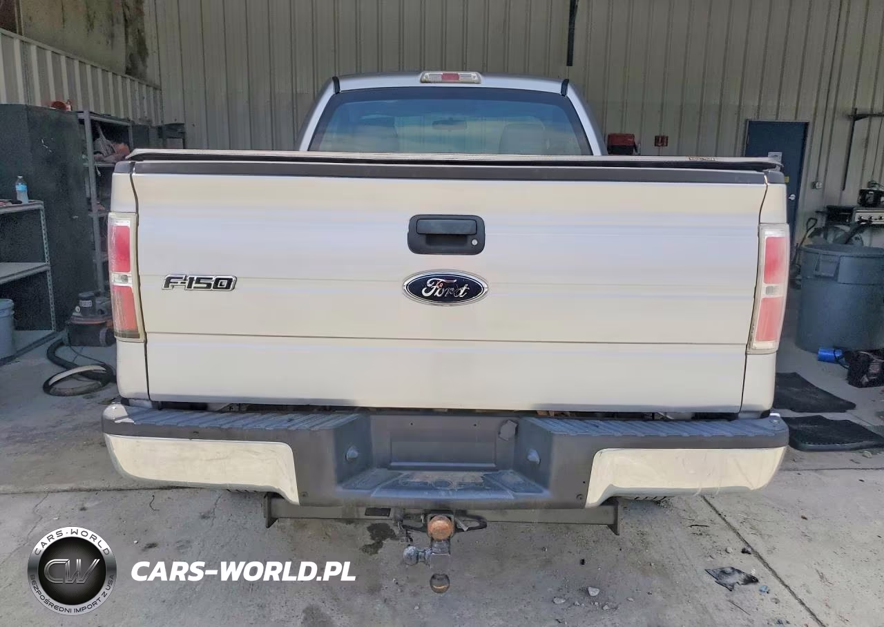 2009 Ford F150 VIN:1FTRF14889KB06029 - 6