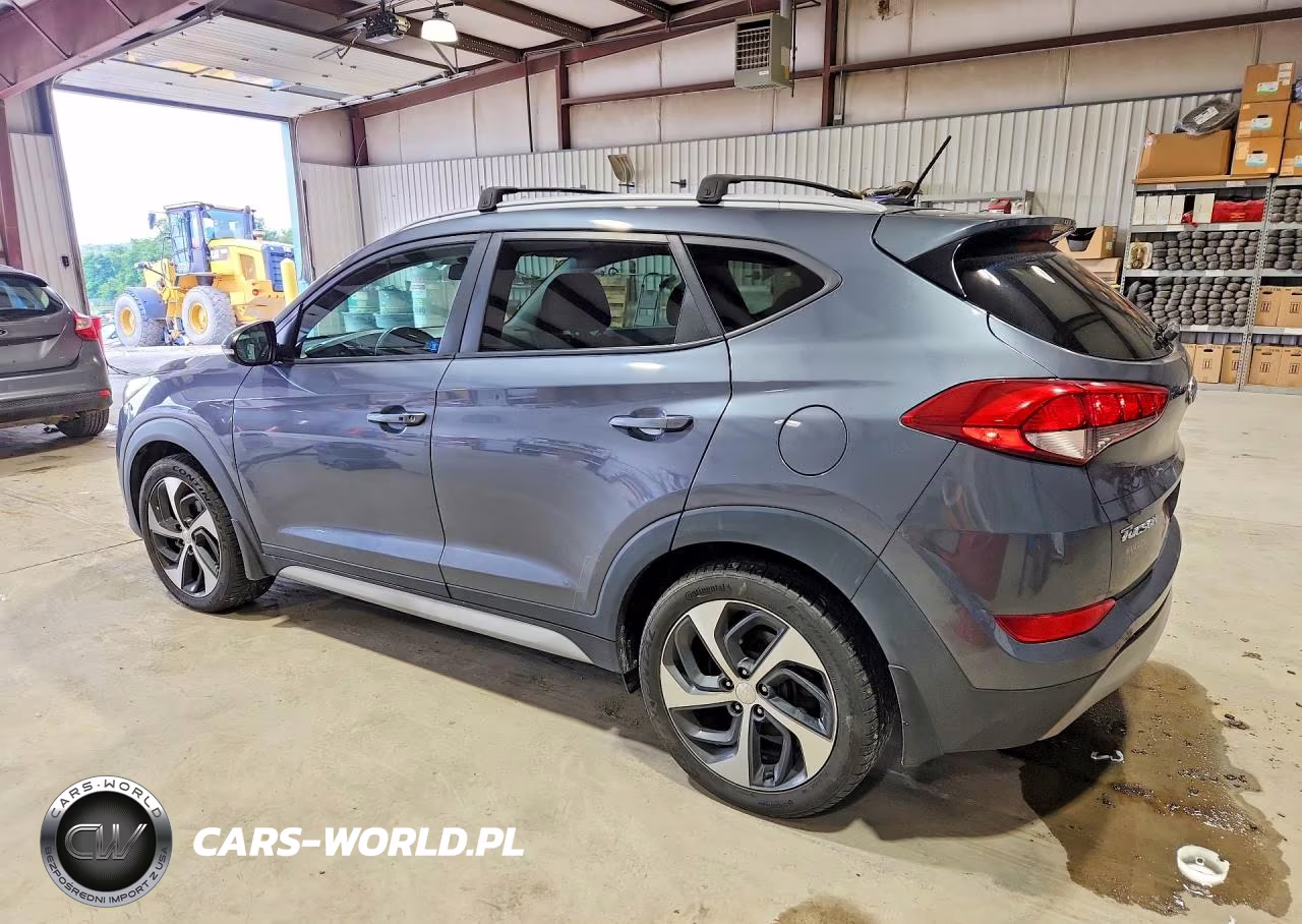 2017 Hyundai Tucson Sport VIN:KM8J3CA27HU498744 - 2