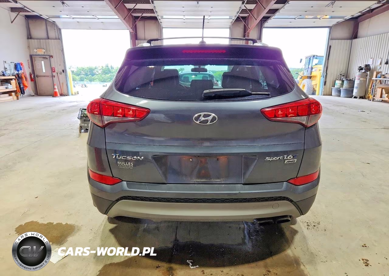 2017 Hyundai Tucson Sport VIN:KM8J3CA27HU498744 - 6