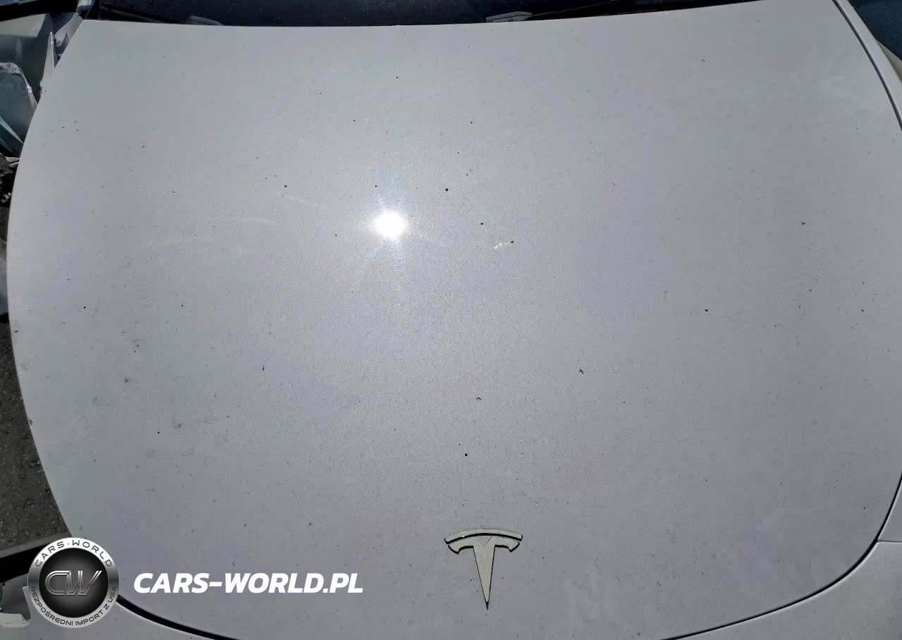 2022 Tesla Model Y VIN:7SAYGDEE1NF323317 - 12