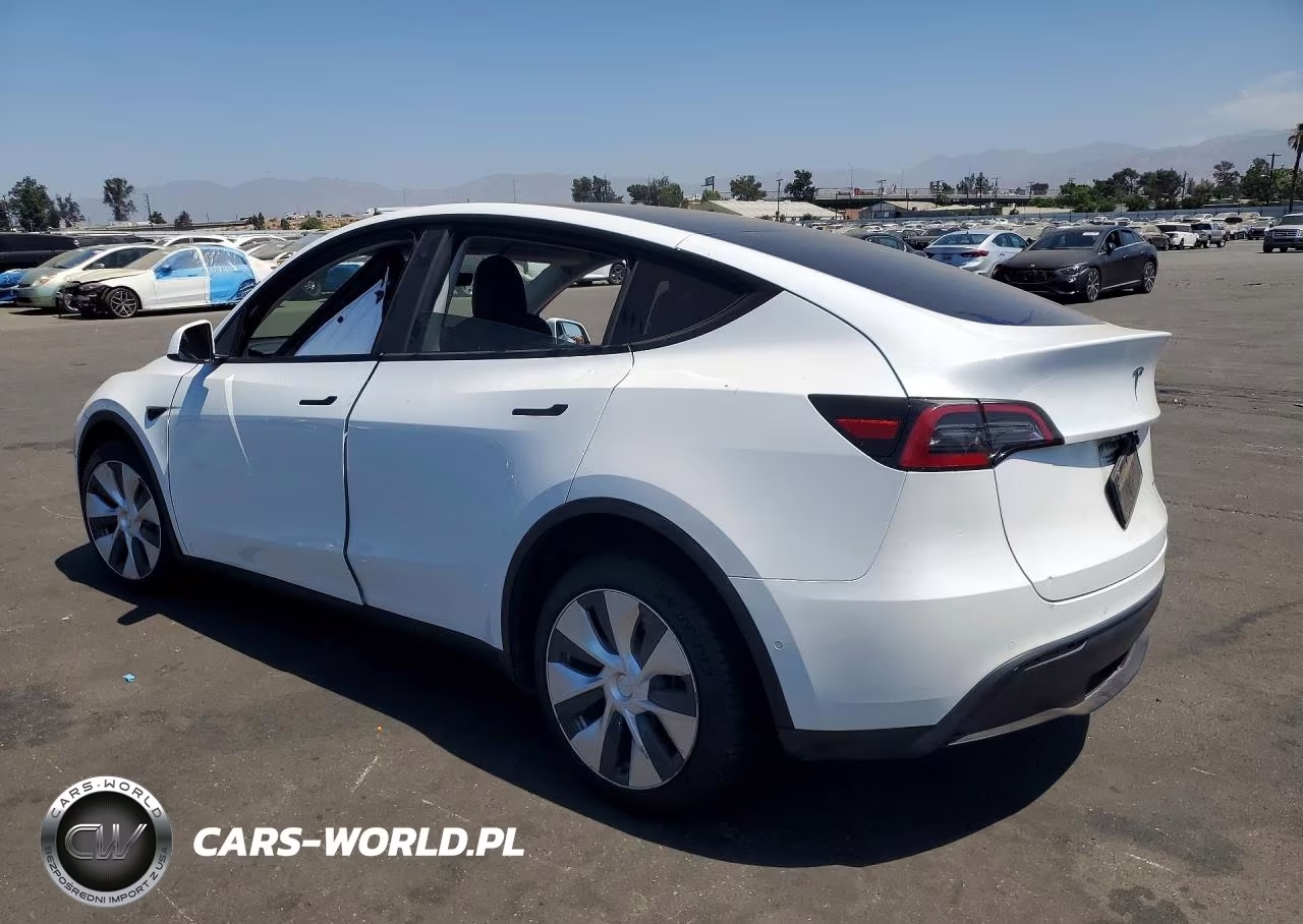 2022 Tesla Model Y VIN:7SAYGDEE1NF323317 - 2