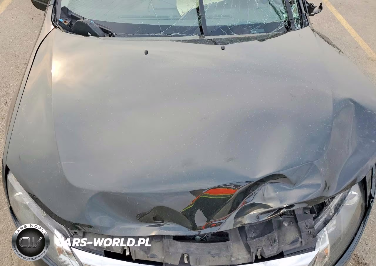 2010 Ford Fusion Sel VIN:3FAHP0CG9AR320240 - 11
