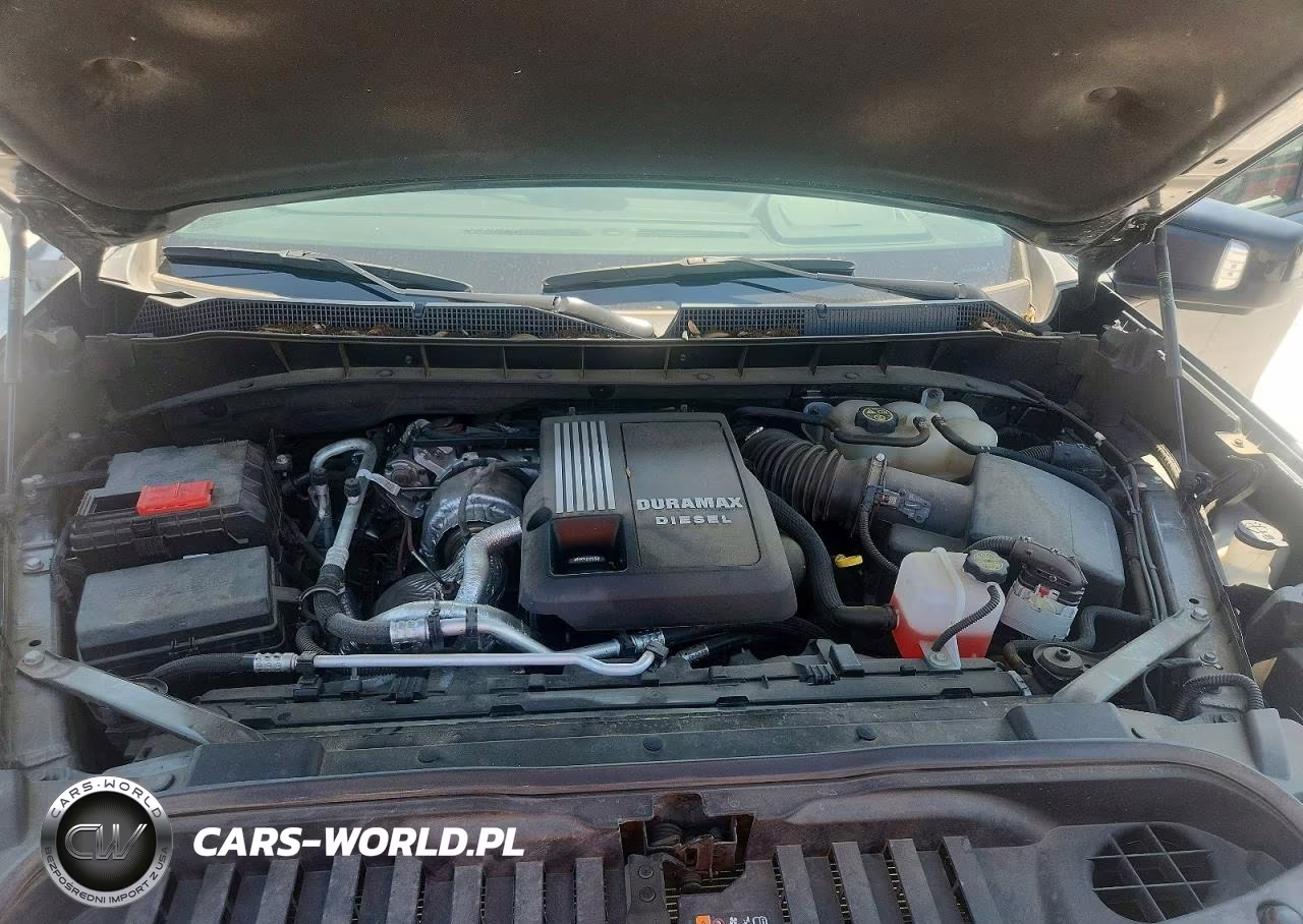 2023 Chevrolet Silverado K1500 Rst VIN:1GCUDEE81PZ262259 - 11