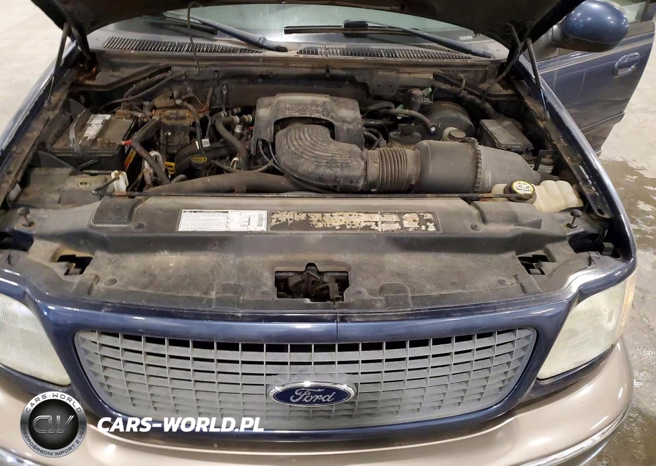 2002 Ford Expedition Eddie Bauer VIN:1FMPU18L42LA06226 - 12
