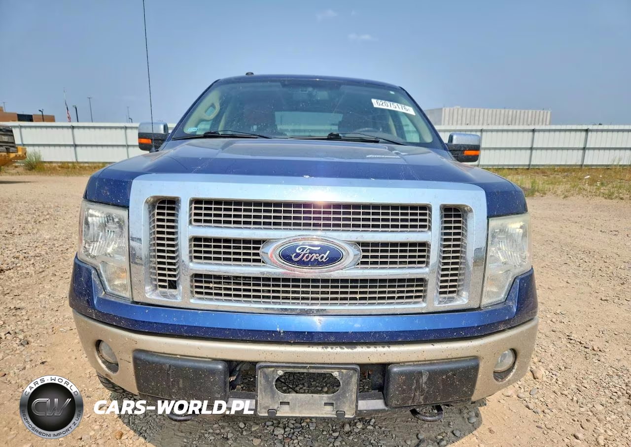 2009 Ford F150 Supercrew VIN:1FTPW14V29KB66014 - 5
