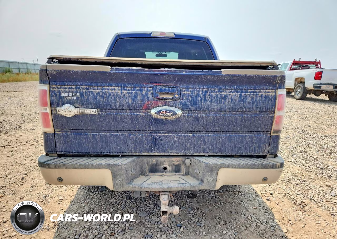 2009 Ford F150 Supercrew VIN:1FTPW14V29KB66014 - 6