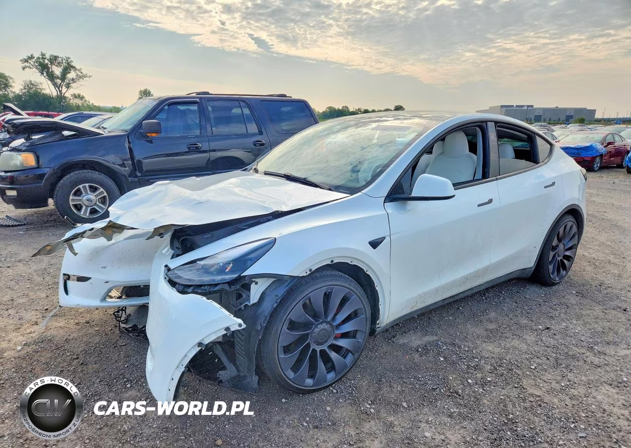 2024 Tesla Model Y VIN:7SAYGDEF2RA330501 - 1