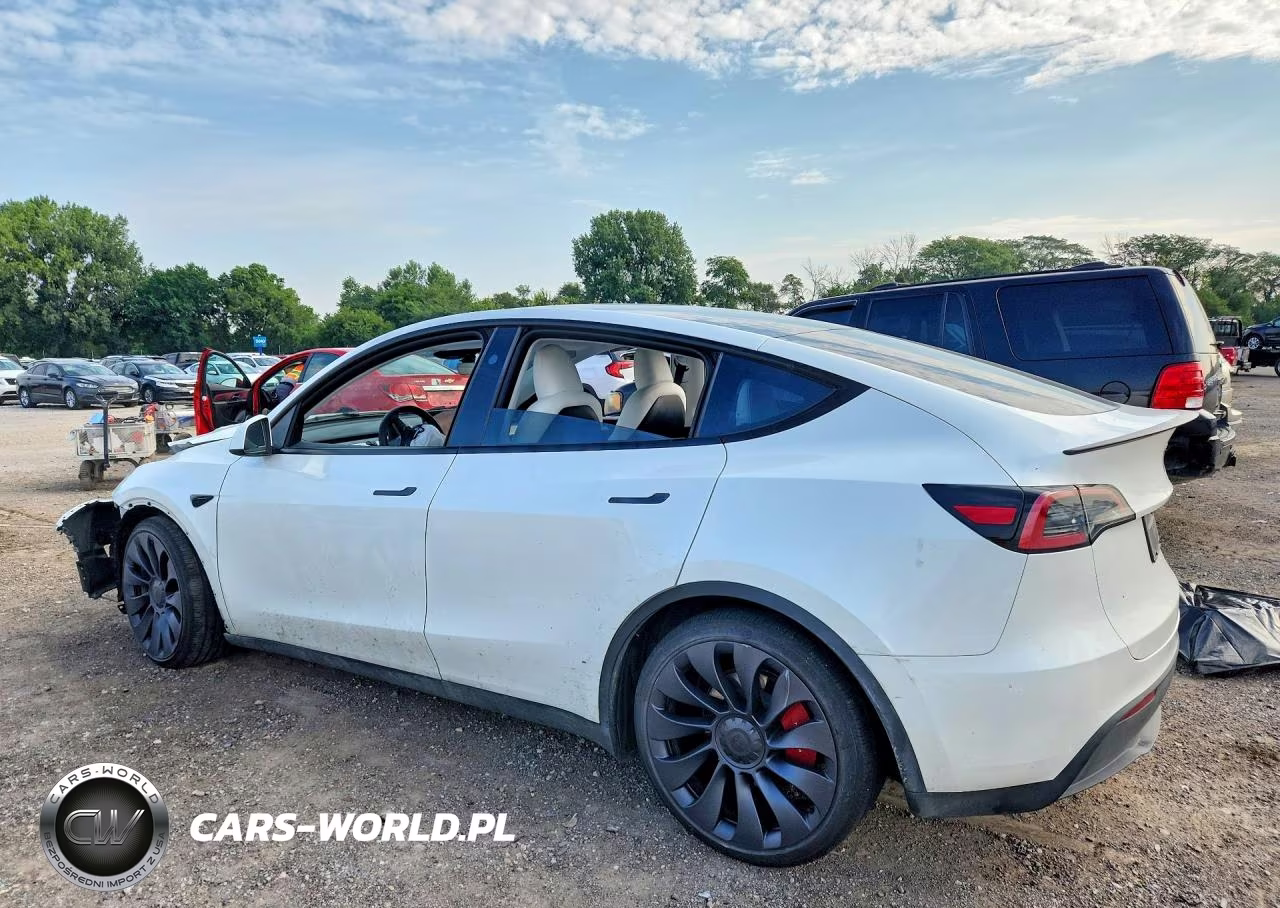 2024 Tesla Model Y VIN:7SAYGDEF2RA330501 - 2