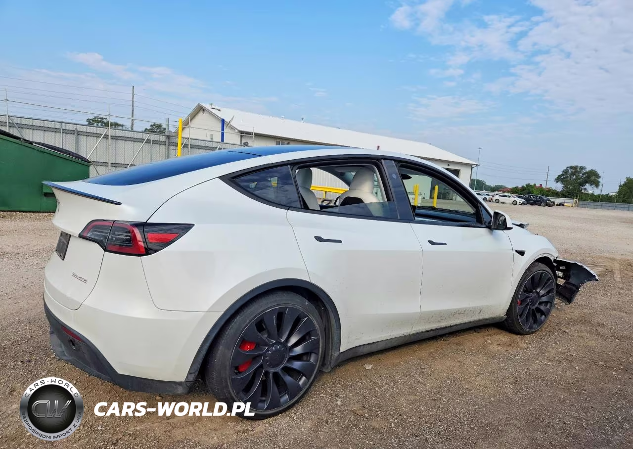 2024 Tesla Model Y VIN:7SAYGDEF2RA330501 - 3