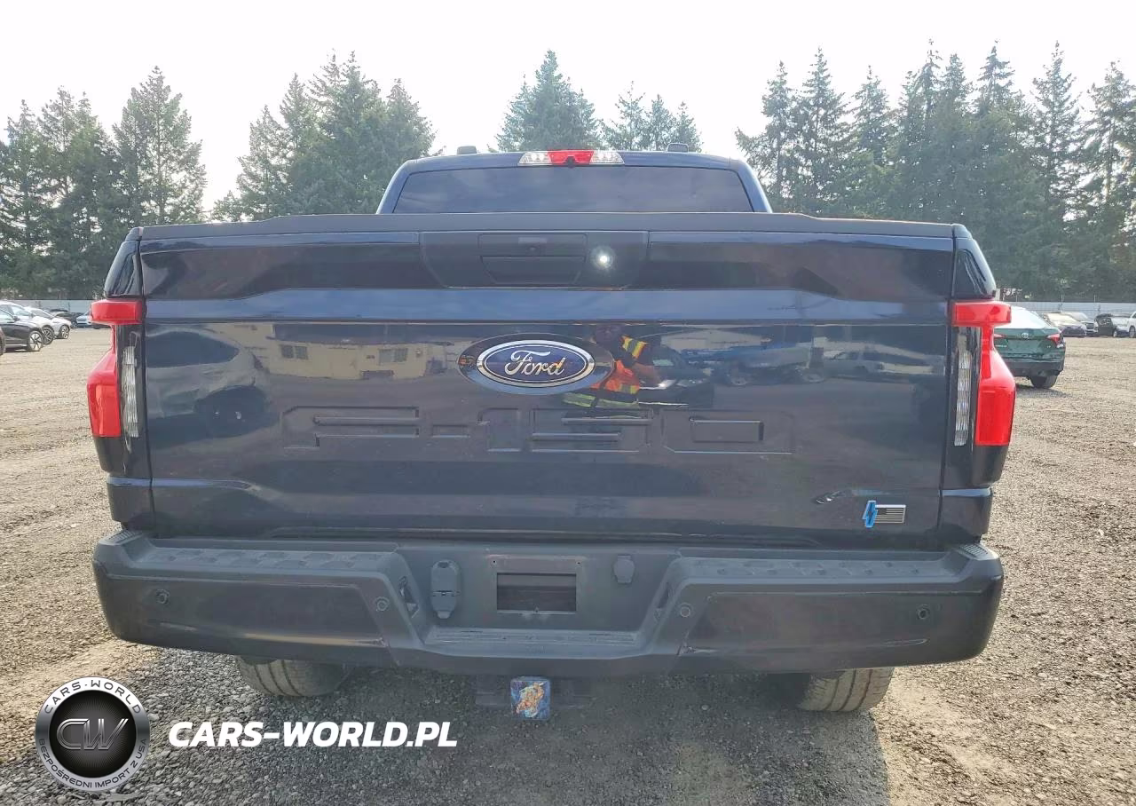 2022 Ford F150 Lightning Pro VIN:1FTVW1EL5NWG00935 - 6