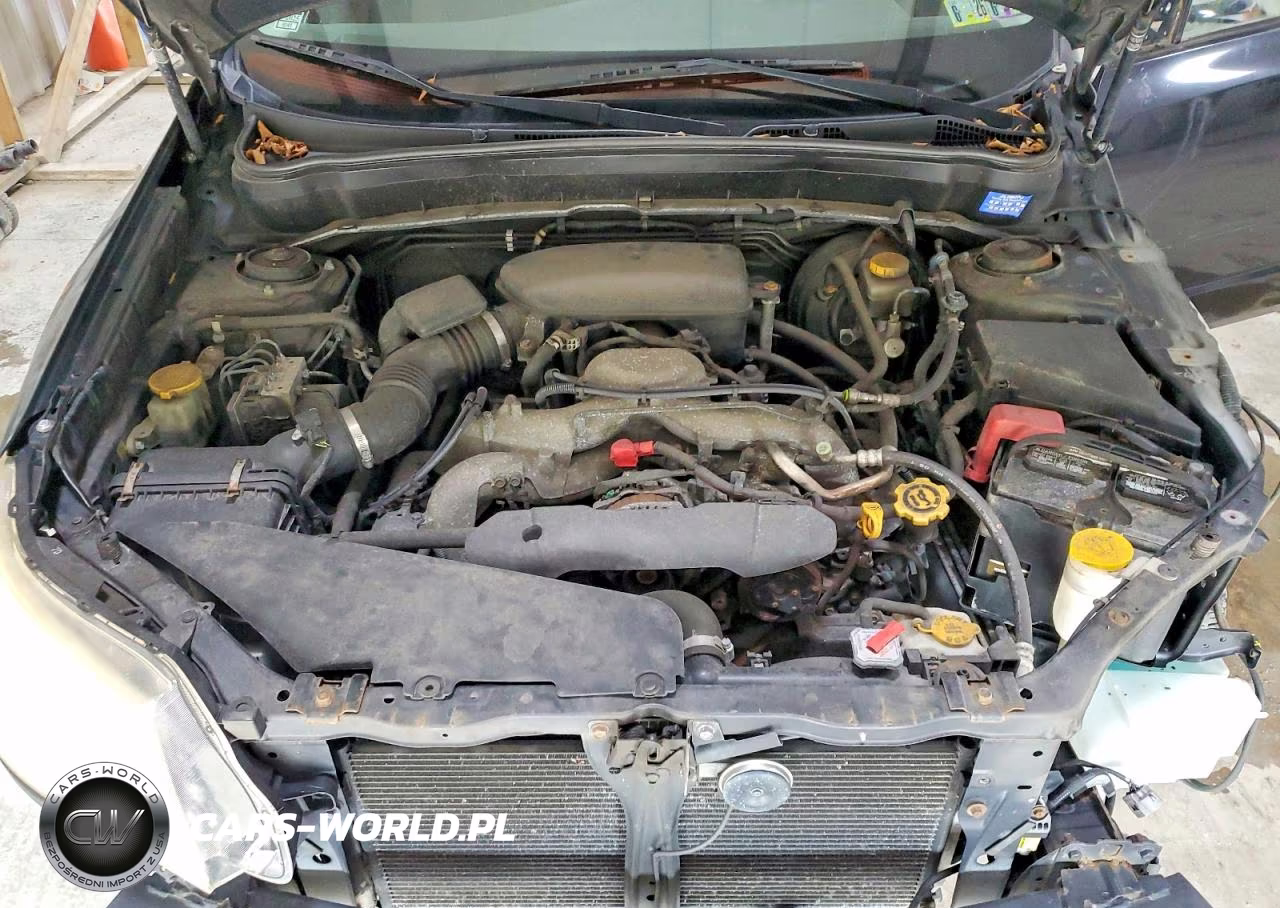 2009 Subaru Forester 2.5X Premium VIN:JF2SH63619H753931 - 11