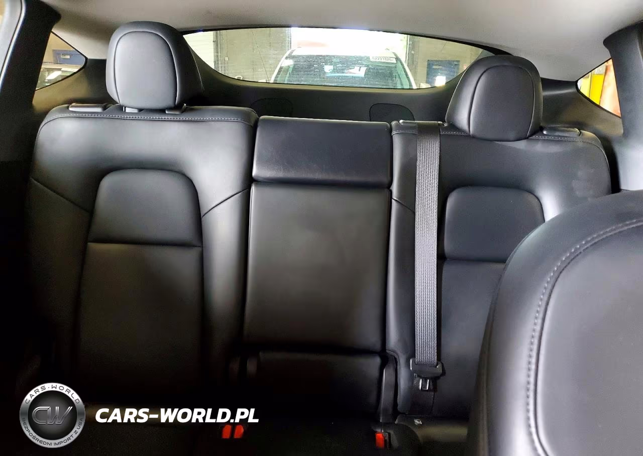 2023 Tesla Model Y VIN:7SAYGDEE6PA076103 - 10