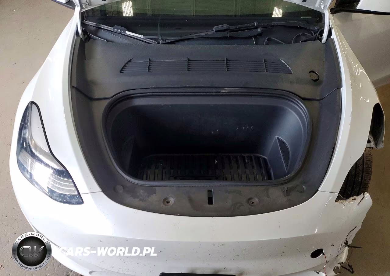 2023 Tesla Model Y VIN:7SAYGDEE6PA076103 - 12