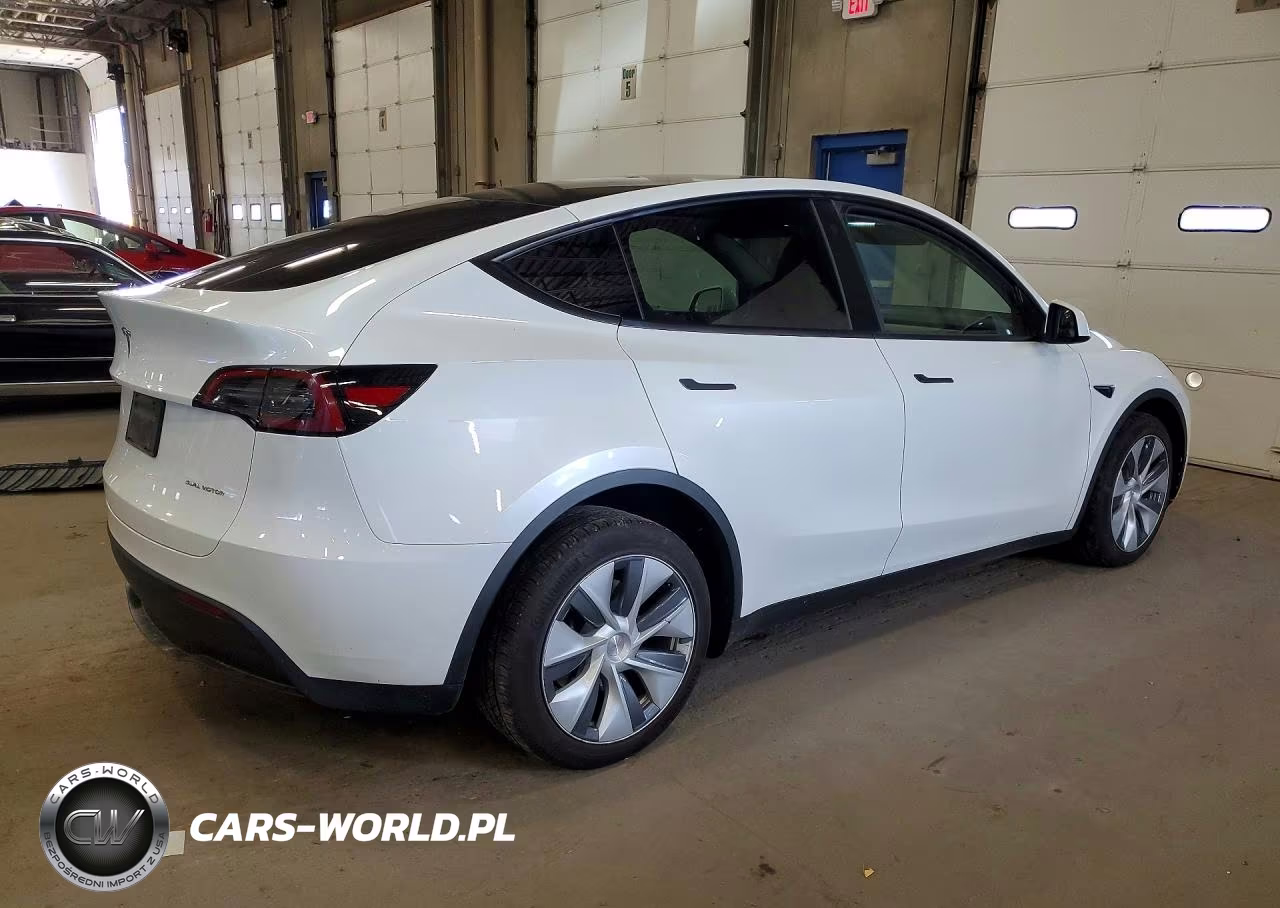 2023 Tesla Model Y VIN:7SAYGDEE6PA076103 - 3