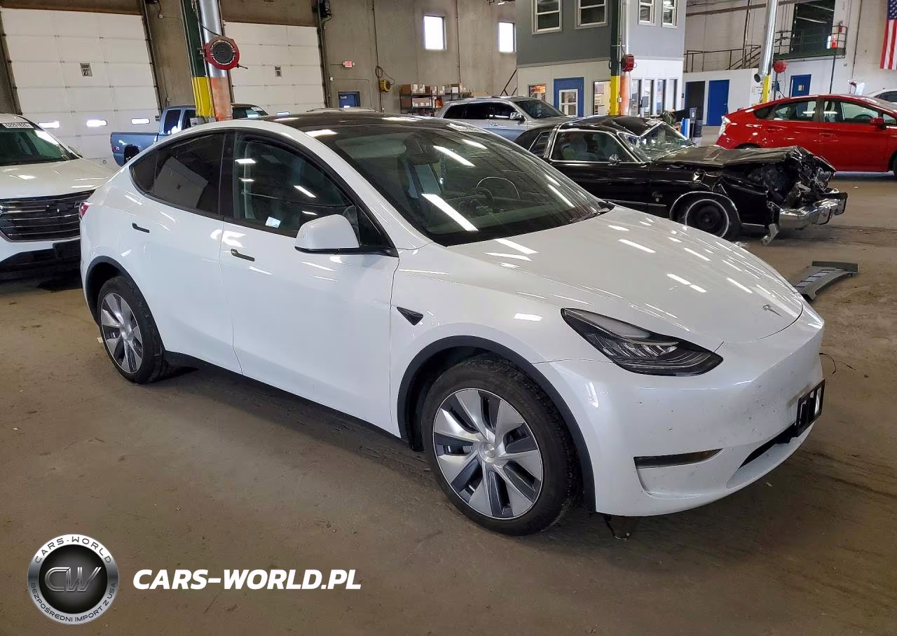 2023 Tesla Model Y VIN:7SAYGDEE6PA076103 - 4