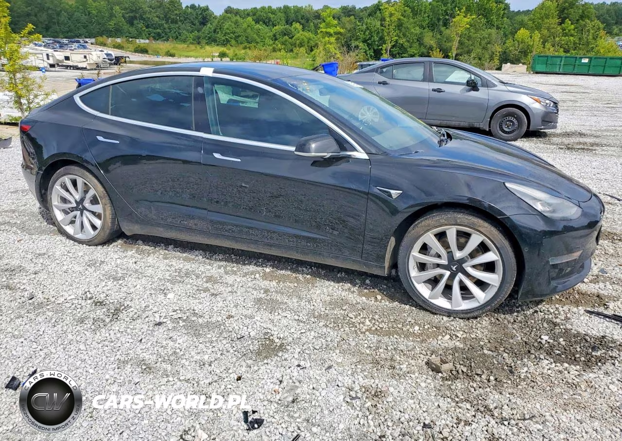 2020 Tesla Model 3 VIN:5YJ3E1EA0LF660776 - 4