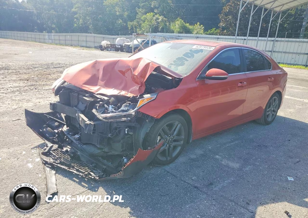 2019 Kia Forte Ex VIN:3KPF54AD3KE069067 - 1