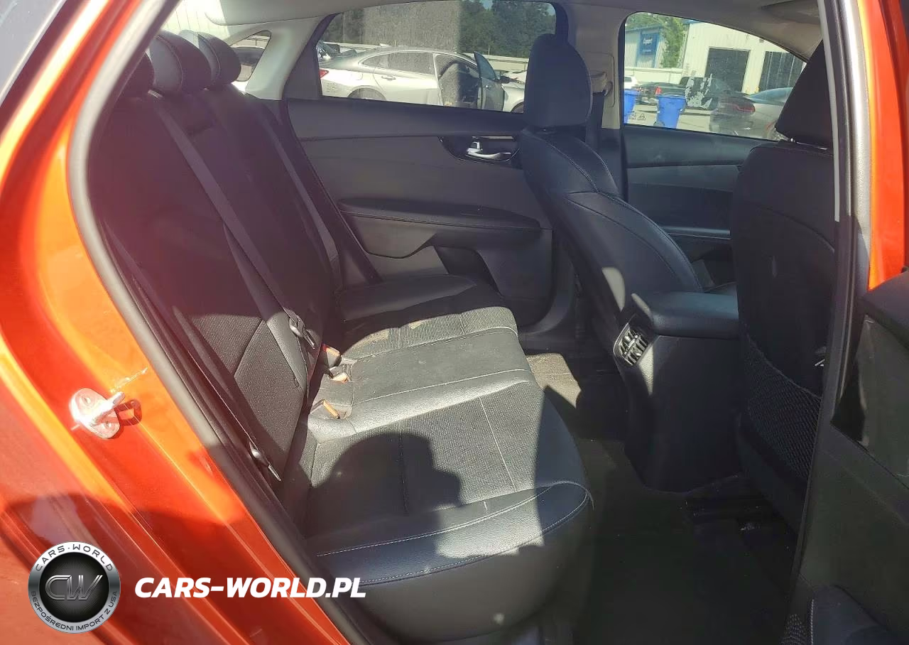 2019 Kia Forte Ex VIN:3KPF54AD3KE069067 - 10