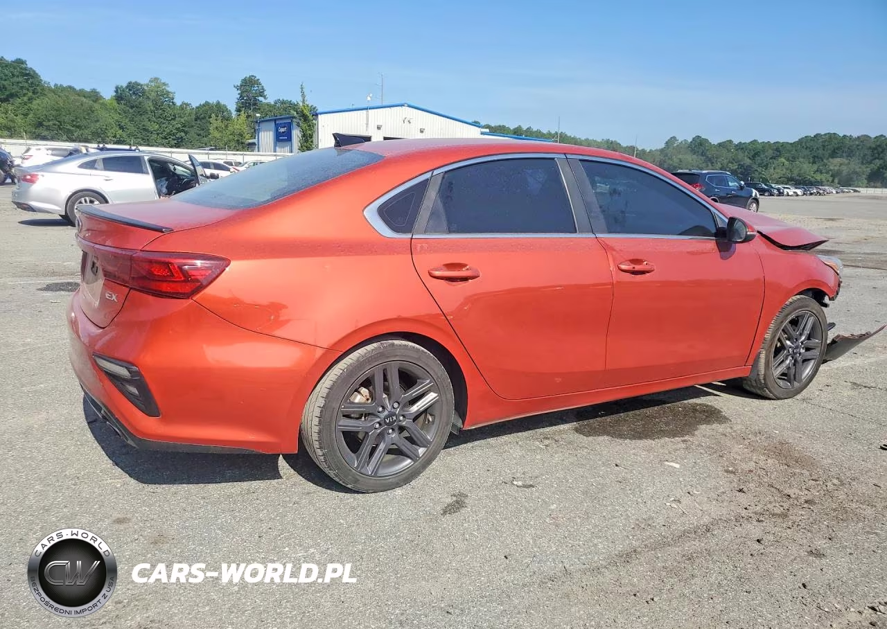 2019 Kia Forte Ex VIN:3KPF54AD3KE069067 - 3