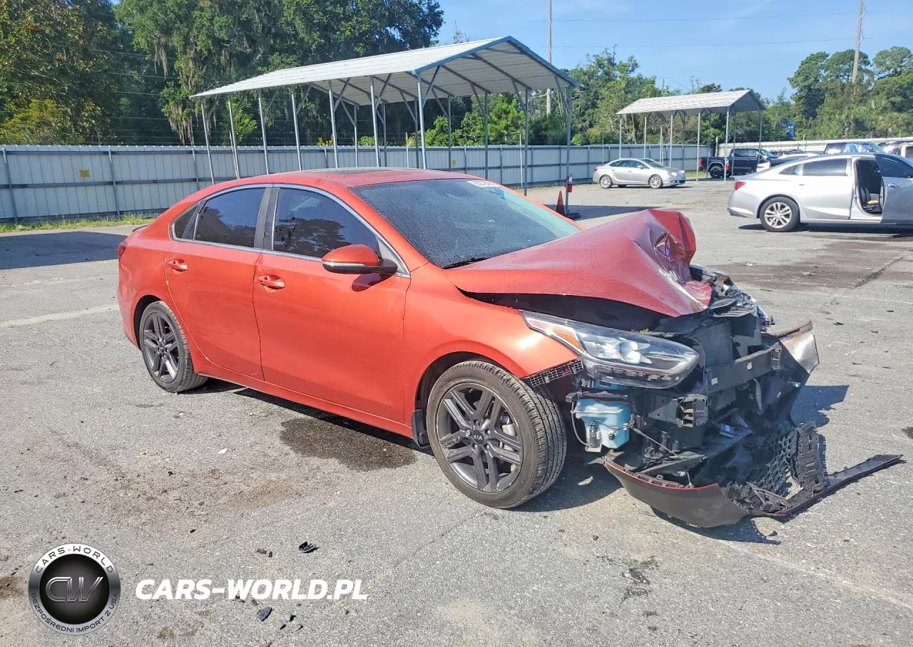 2019 Kia Forte Ex VIN:3KPF54AD3KE069067 - 4