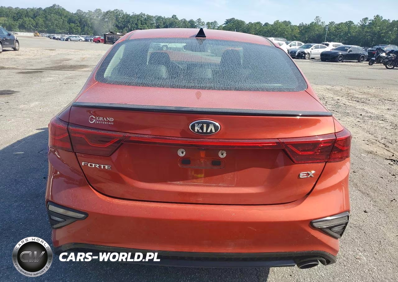 2019 Kia Forte Ex VIN:3KPF54AD3KE069067 - 6