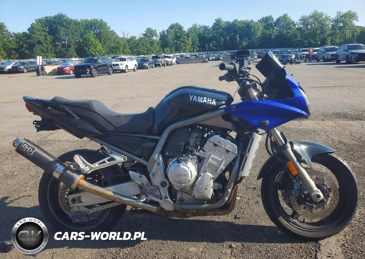 2001 Yamaha Fzi – zdjęcie 1 z 9
