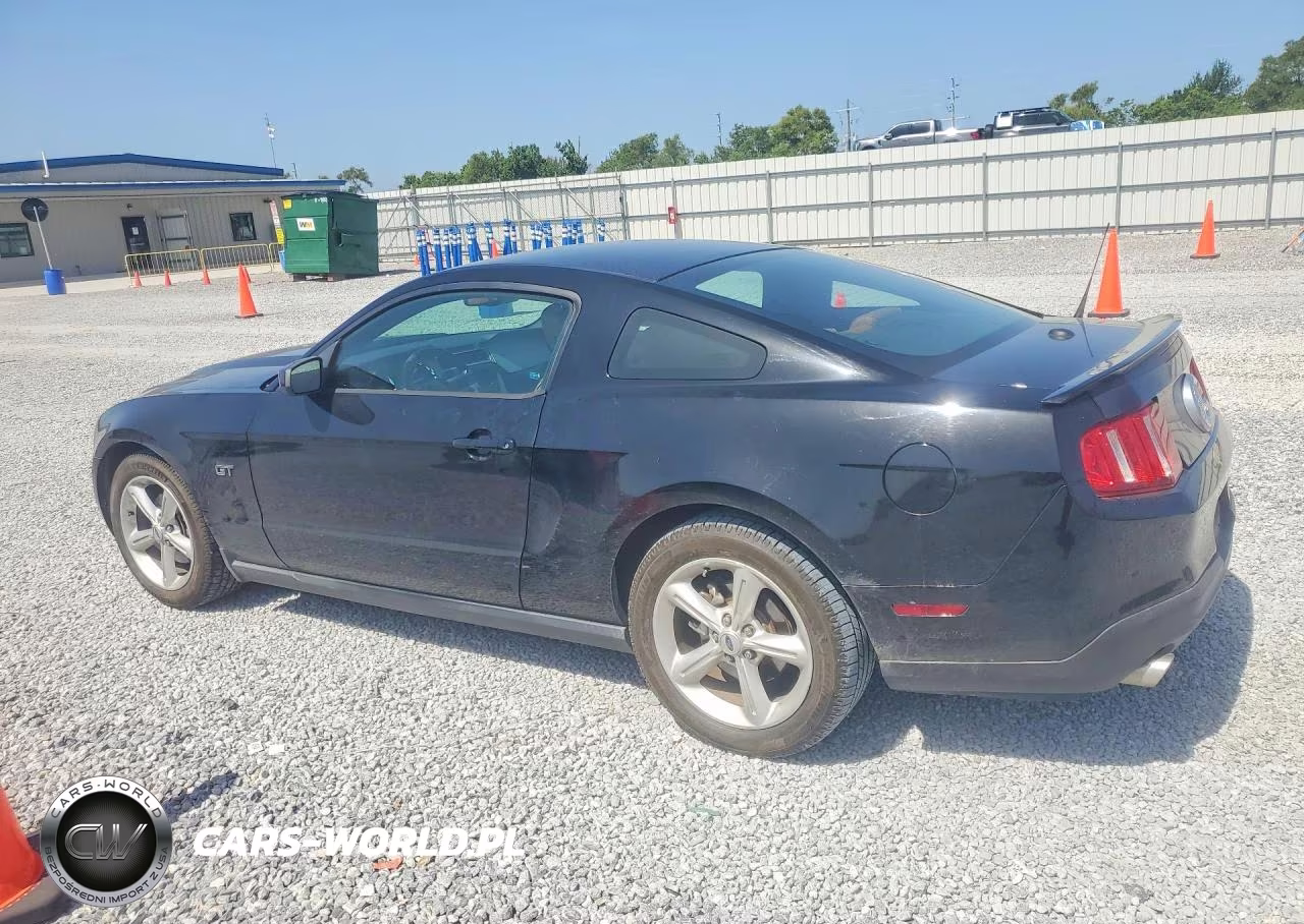 2010 Ford Mustang Gt VIN:1ZVBP8CH7A5117791 - 2