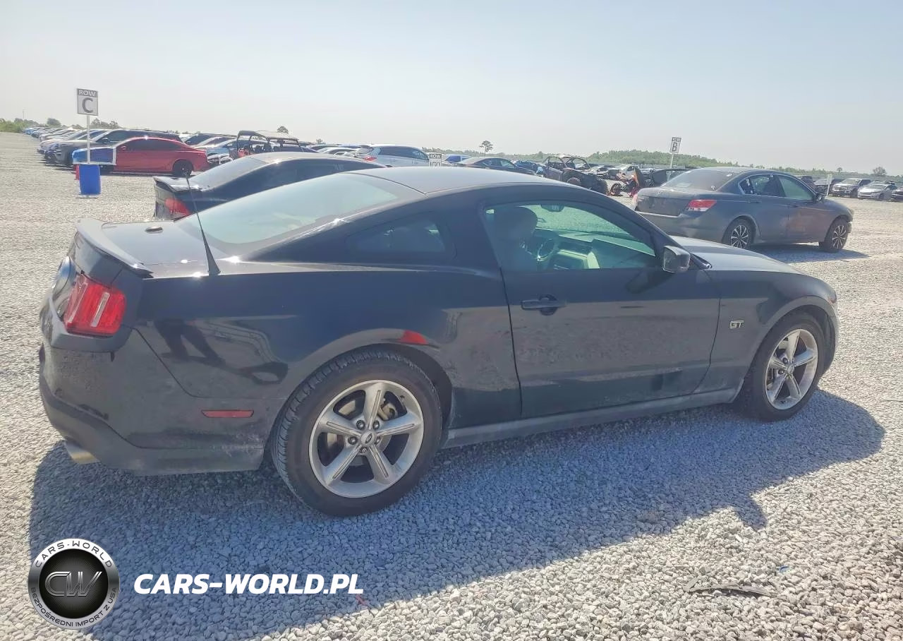 2010 Ford Mustang Gt VIN:1ZVBP8CH7A5117791 - 3