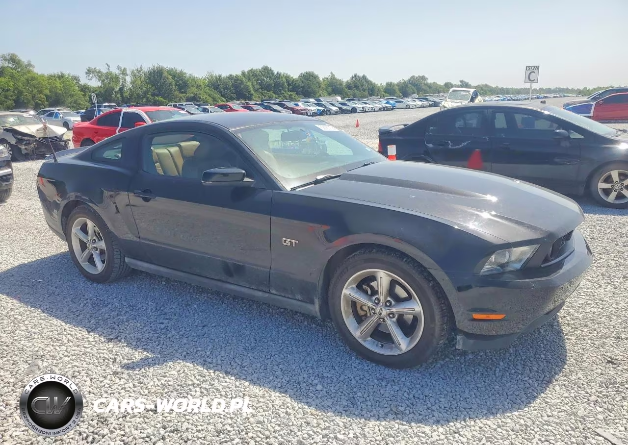 2010 Ford Mustang Gt VIN:1ZVBP8CH7A5117791 - 4