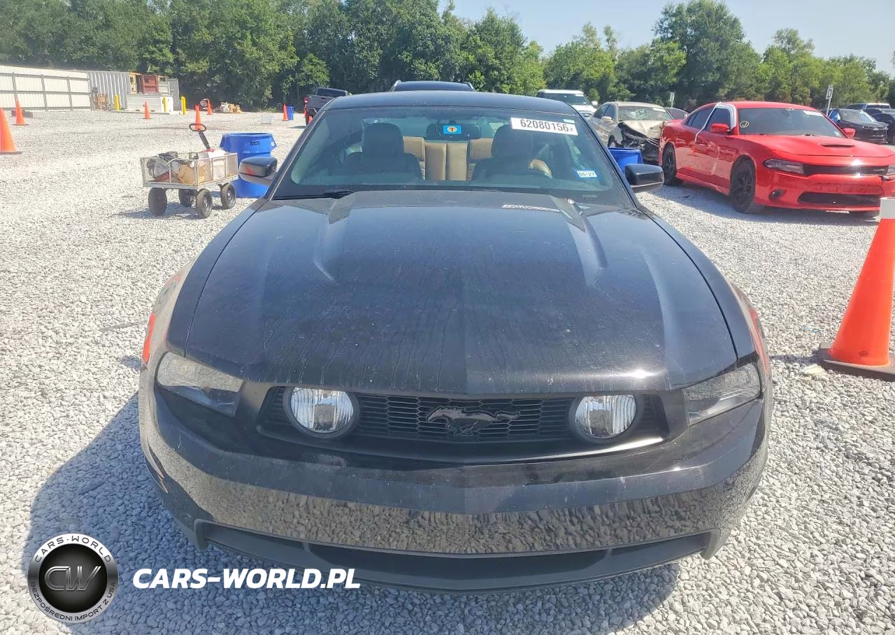 2010 Ford Mustang Gt VIN:1ZVBP8CH7A5117791 - 5