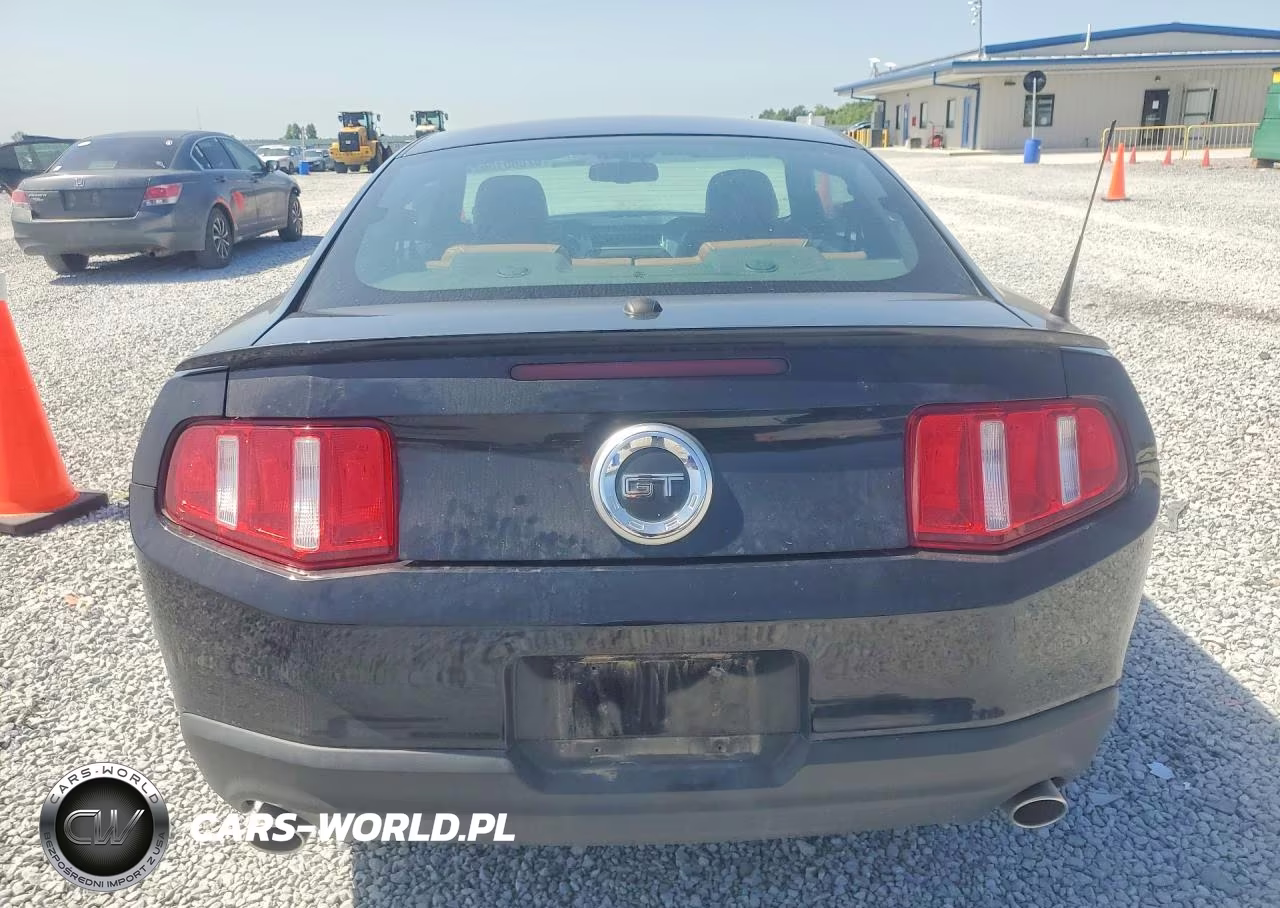 2010 Ford Mustang Gt VIN:1ZVBP8CH7A5117791 - 6
