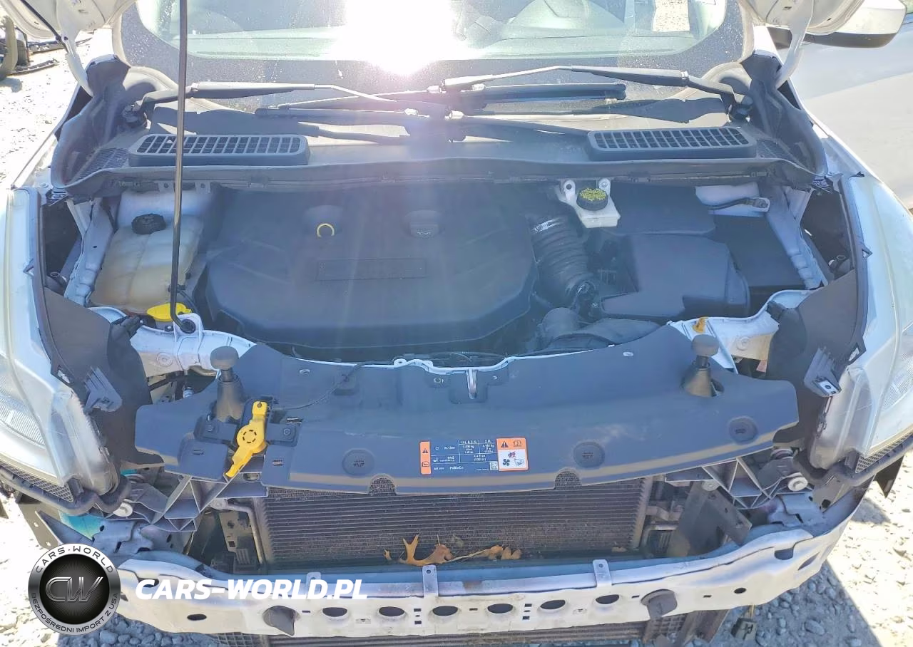 2015 Ford Escape Se VIN:1FMCU9G92FUC64313 - 12