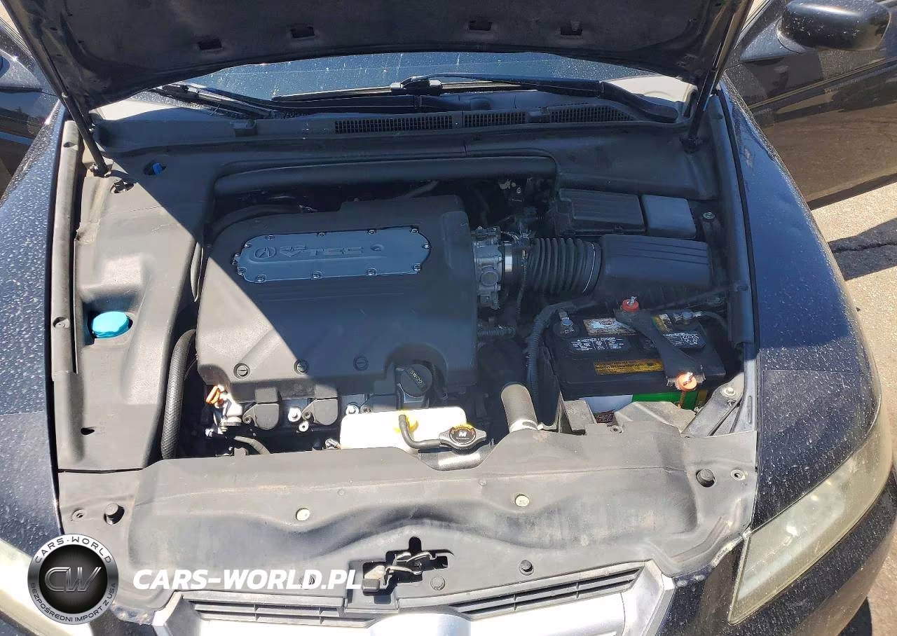 2005 Acura Tl VIN:19UUA66245A024394 - 11