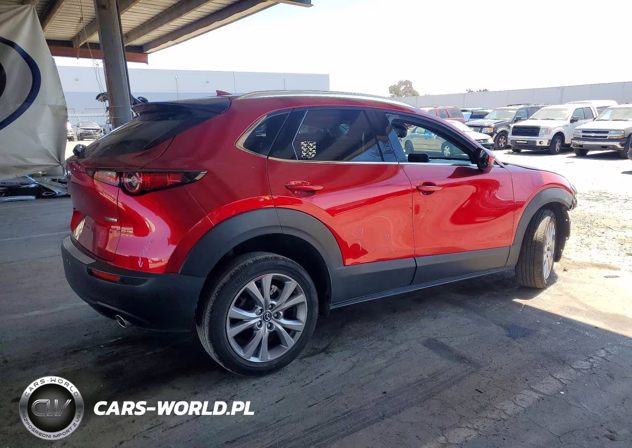 2021 Mazda Cx-30 Premium VIN:3MVDMBDL8MM307763 - 3