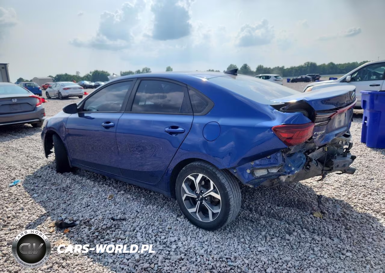 2020 Kia Forte Lxs VIN:3KPF24ADXLE245946 - 2