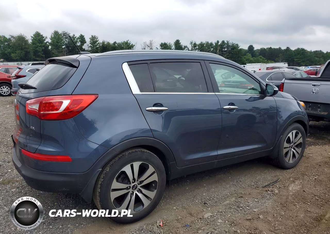 2013 Kia Sportage Ex VIN:KNDPC3A28D7444926 - 3