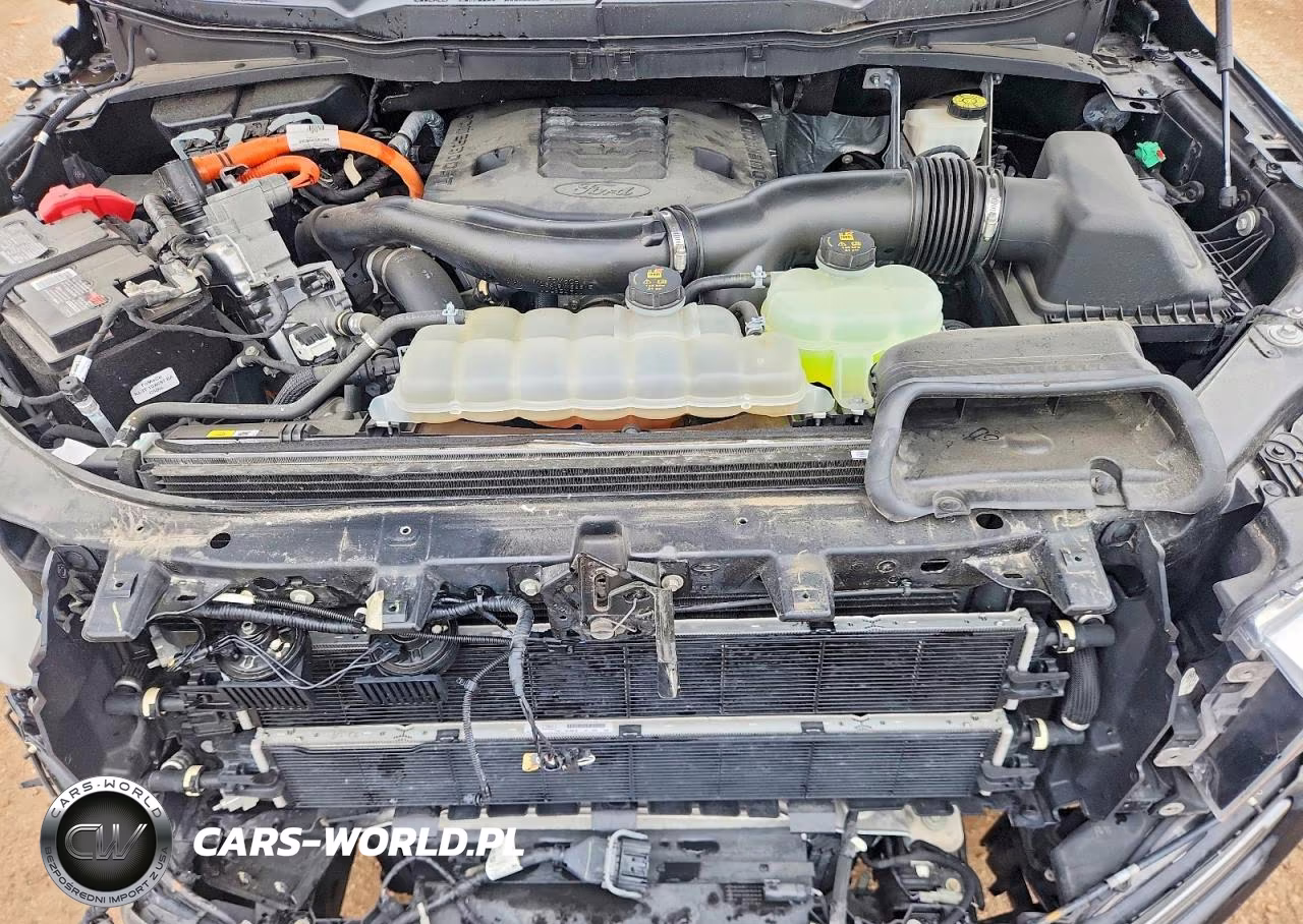 2021 Ford F150 Supercrew VIN:1FTFW1ED4MFC37555 - 11