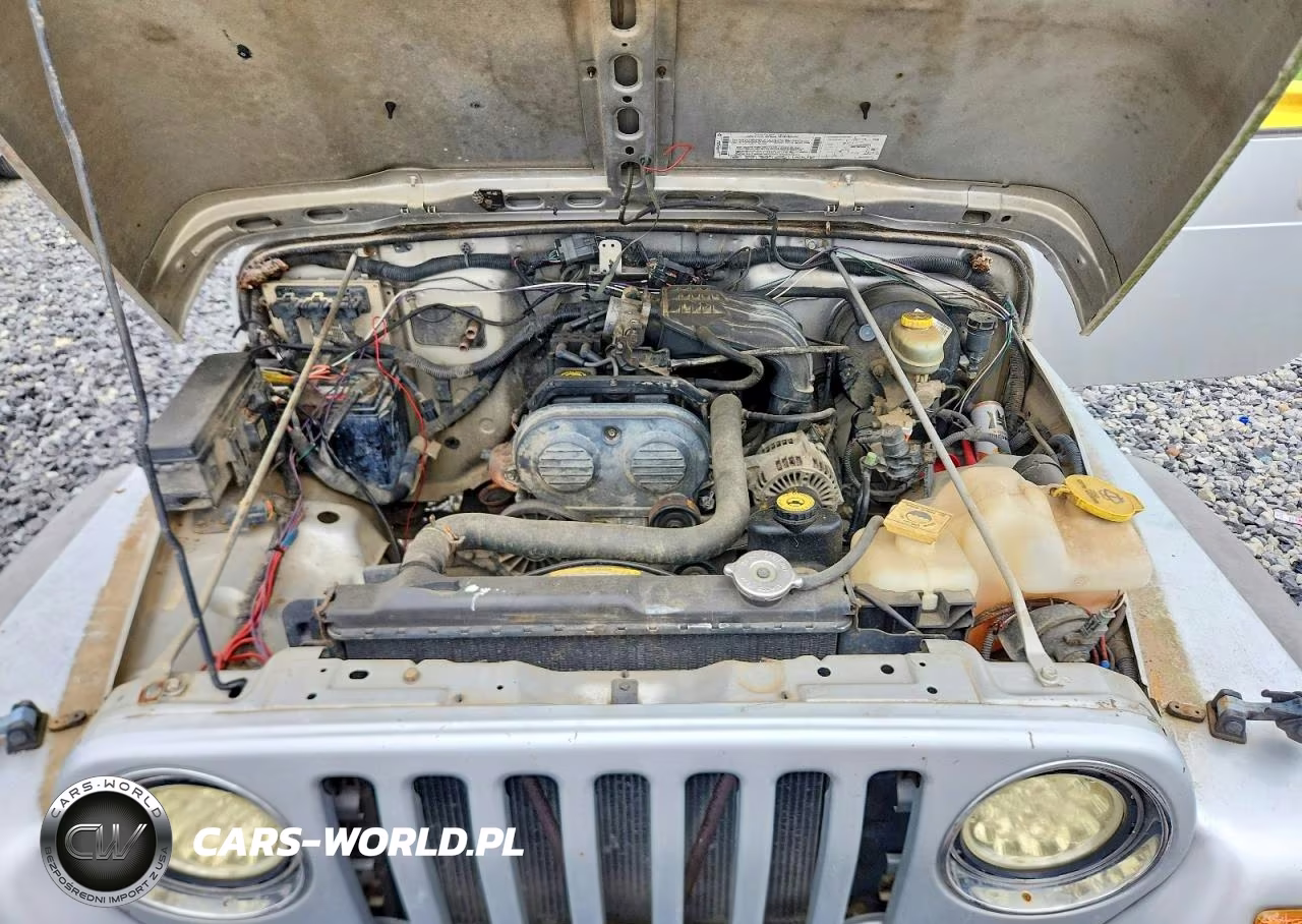 2003 Jeep Wrangler - Tj Se VIN:1J4FA29103P313120 - 11
