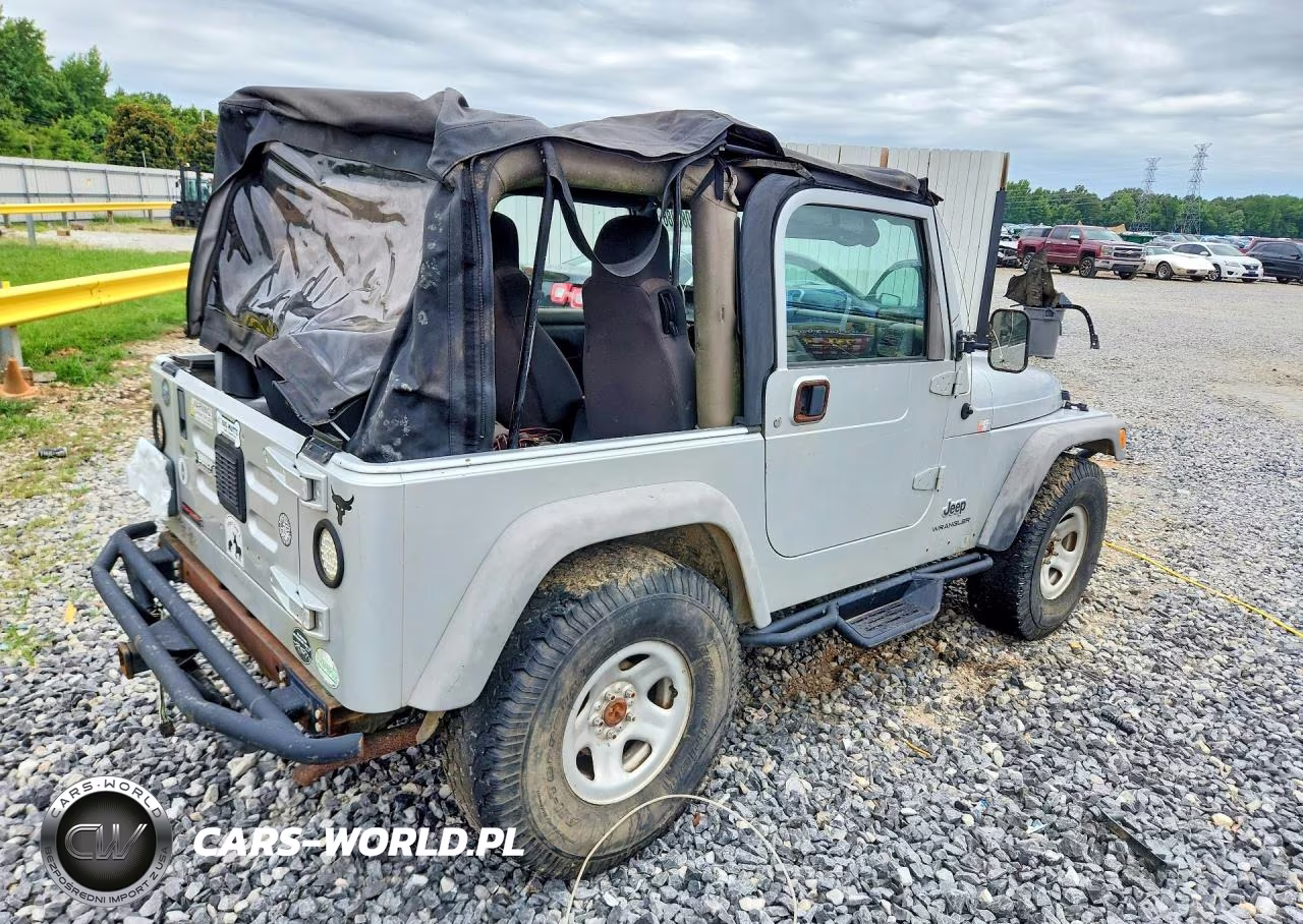 2003 Jeep Wrangler - Tj Se VIN:1J4FA29103P313120 - 3
